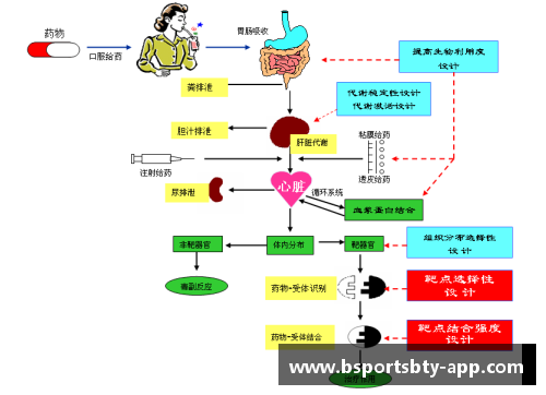 青少年体育俱乐部管理架构设计及优化方案